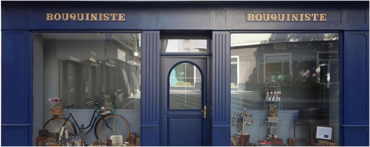 Le Bouquiniste, Centre Historique, Fibre, Ess, Rez-De-Chaussee, Bedinshop Romans-sur-Isere Luaran gambar