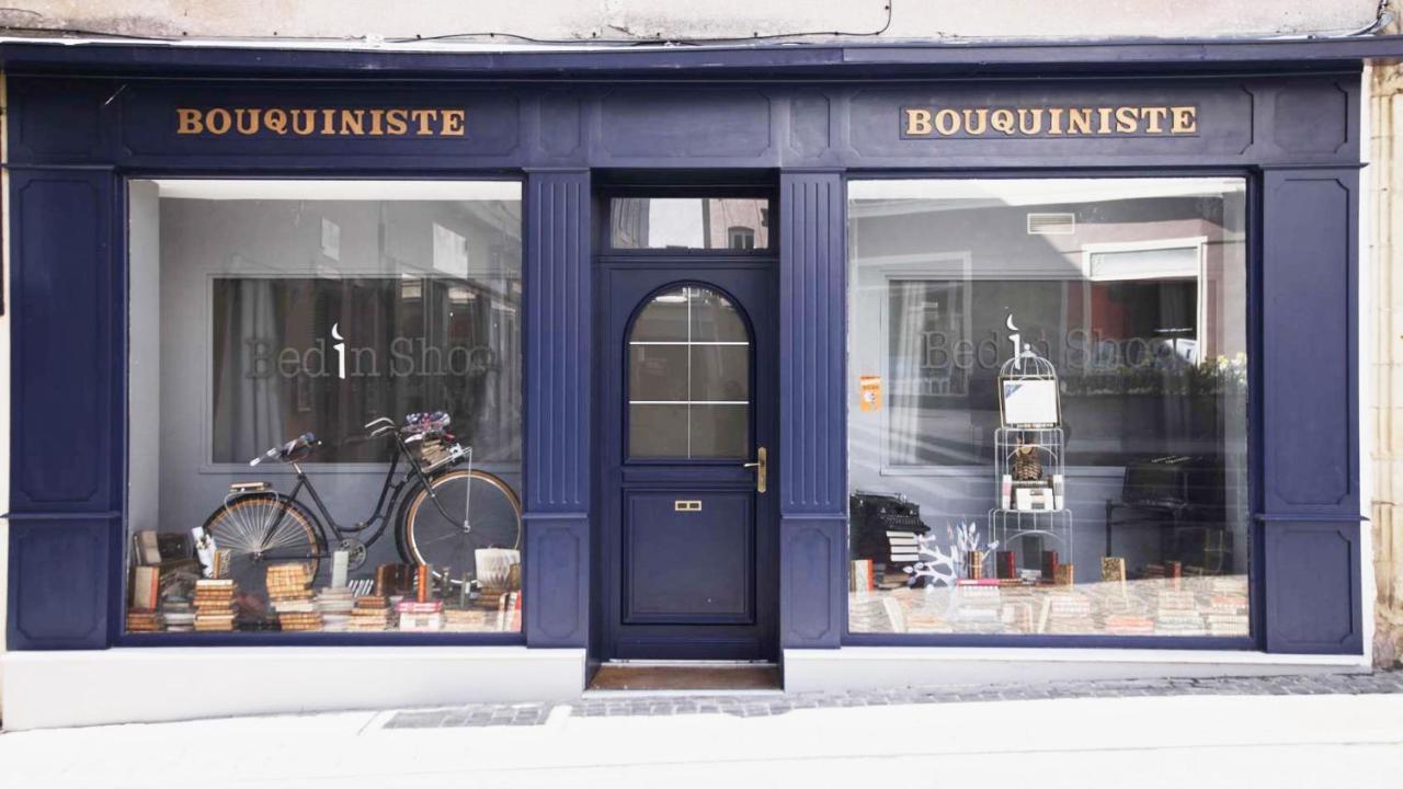 Le Bouquiniste, Centre Historique, Fibre, Ess, Rez-De-Chaussee, Bedinshop Romans-sur-Isere Luaran gambar