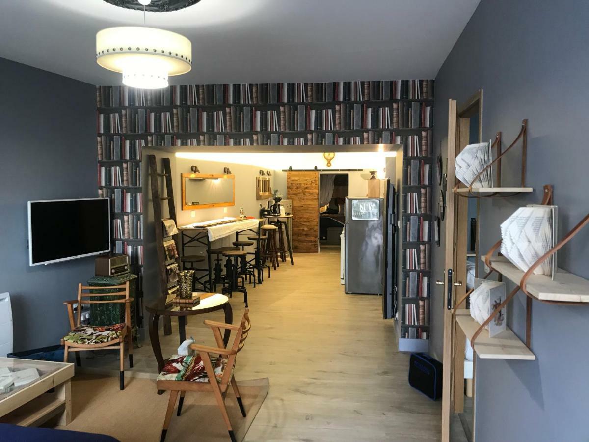 Le Bouquiniste, Centre Historique, Fibre, Ess, Rez-De-Chaussee, Bedinshop Romans-sur-Isere Luaran gambar