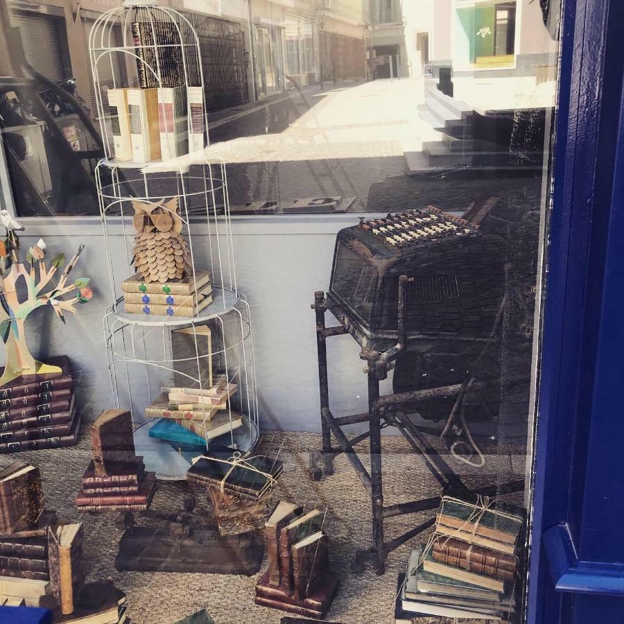 Le Bouquiniste, Centre Historique, Fibre, Ess, Rez-De-Chaussee, Bedinshop Romans-sur-Isere Luaran gambar